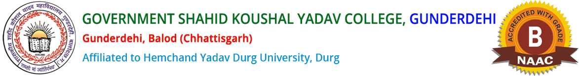 Government Shahid Kaushal Yadav College, Gunderdehi Make By Ravi Solutions